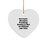 Funny Surveyor Heart Ornament Gifts from Men to Friends, Unique Christmas Memorable Presents for Surveyor Couples - Image 1